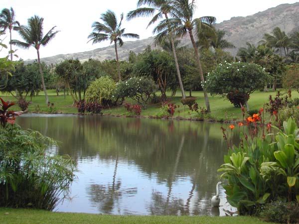 Maui Tropical Plantation and Gazebo Weddings